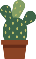 semplicità cactus pianta piatto design. png