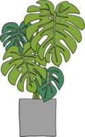 simplicidad monstera planta dibujo a mano alzada diseño plano. png