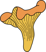 doodle croquis à main levée dessin de légume champignon chanterelle. png