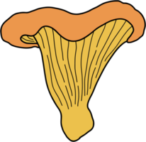 doodle freehand sketch drawing of chanterelle mushroom vegetable. png