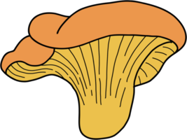 doodle freehand sketch drawing of chanterelle mushroom vegetable. png