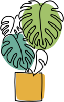 semplicità monstera pianta disegno a mano libera design piatto. png