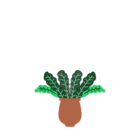 decorative Aesthetic Leaf png