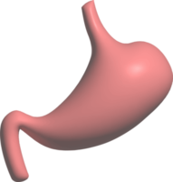 función del sistema digestivo órganos internos gráfico 3d png