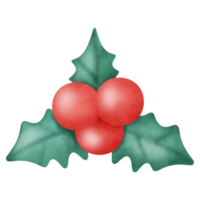 éléments de noël aquarelle png