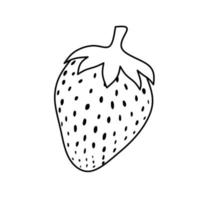 Strawberry fruit vector line art on a white background for coloring, sketching etc