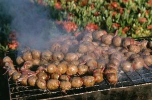 Thai Food Sausages photo