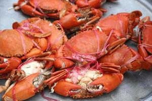 Thai SeaFood Crab photo