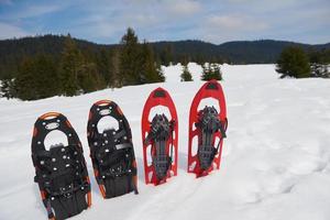 winter snowshoes view photo