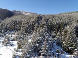 Winter landscape view photo