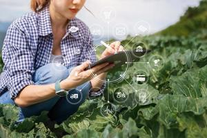 Agriculture technology farmer woman holding tablet or tablet technology to research about agriculture problems analysis data and visual icon.Smart farming photo