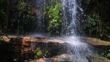 cascata lento movimento filmato, fluente acqua ruscello nel un' tropicale foresta pluviale nel Tailandia. video