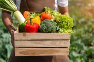 granjero sosteniendo una caja de madera llena de vegetales crudos frescos. cesta con verduras orgánicas frescas y pimientos en las manos. foto