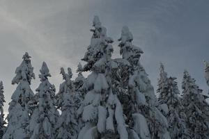 paisaje de montaña de invierno foto