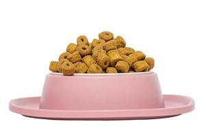 Dry food for dogs or cats in a bowl isolated on a white background. Food is good for animals. photo