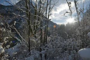 paisaje de montaña de invierno foto