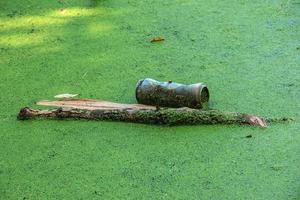 lenteja de agua y plástico, estaño, basura de caucho en el río. el concepto del problema ecológico de la contaminación ambiental. foto