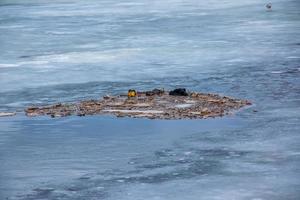 Background of the icy surface of the river with a small island. Texture of ice covered with snow. Winter background. photo