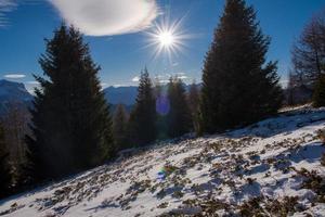 vista del paisaje de invierno foto