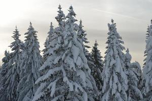 paisaje de montaña de invierno foto