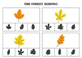 Find correct shadow of cute autumn leaves. Printable clip card games for children. vector