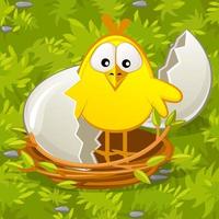 Newborn chick from an egg in nest on grass. Vector illustration chicken on the background green lawn for game.