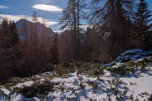 vista del paisaje de invierno foto