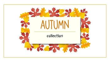 tarjeta de visita de hojas rojas en estilo realista. hoja de otoño. Ilustración de vector colorido aislado sobre fondo blanco.