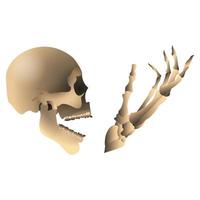 Skull with skeleton hand in realistic style. Helloween creepy decoration for party. Colorful vector illustration isolated on white background.