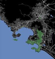 City map of Acapulco, Mexico vector