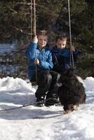 portrait of little boys at winter day photo