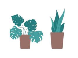 planta aislada sobre fondo blanco vector