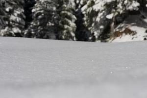 fondo de nieve de invierno foto