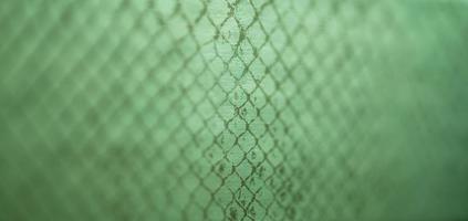 snake skin view photo