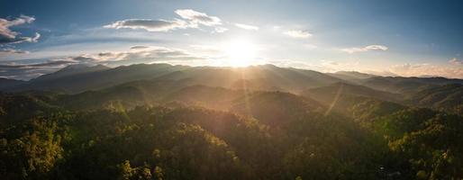 Foggy sunset in the forest in summer photo