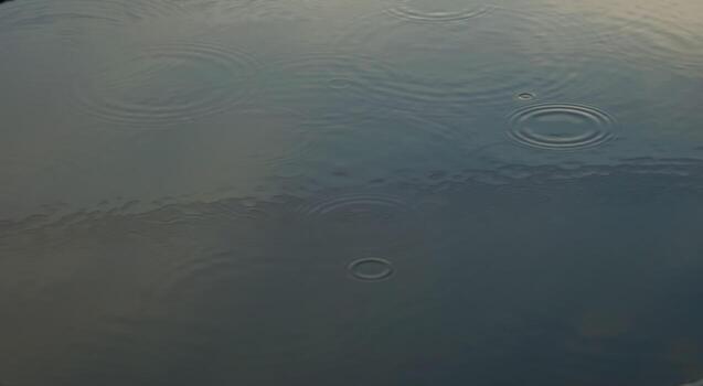 The rain drops on the surface of the pond with the reflection of the blue sky as if feeling sad or lonely. photo
