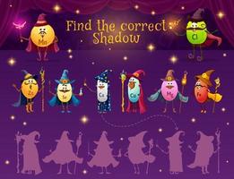 Find correct shadow game, micronutrient wizards vector