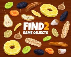 Find two same dried fruits kids game worksheet vector