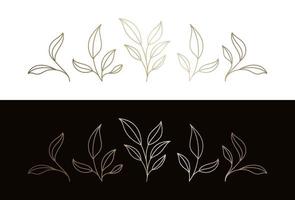 leaves botanical branches logo design with stem and foliage line art vector illustration