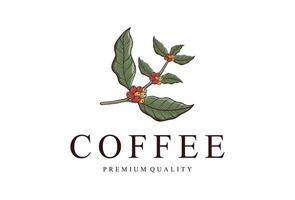 grano de café retro vintage con vector de logotipo de rama de planta para cafetería o restaurante