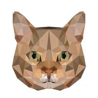 vector cat in polygon pattern Triangular animal vector illustration for print on t-shirts and posters. Geometric low poly design illustration. Cat icon. Kitten isolated element.