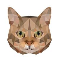 gato vectorial en patrón de polígono ilustración vectorial animal triangular para imprimir en camisetas y carteles. ilustración de diseño geométrico de baja poli. icono de gato. elemento aislado gatito. vector