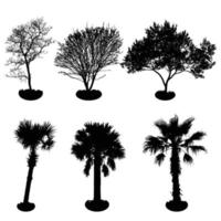 Tree Silhouette Black Vector