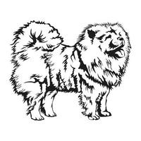 Ilustración de vector de chow chow decorativo