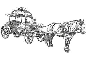 Vector illustratoin- beautiful carriage with horse