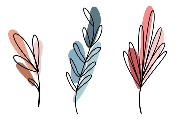 A set of botanical elements drawn with a single line, a minimalistic doodle style, a sprig of eucalyptus, a palm leaf, an abstract flower. Colored spots. Vector illustration. Logo design elements