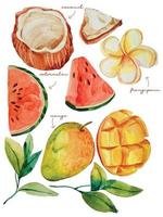 watercolor tropical fruit elements vector