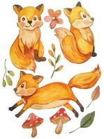 fox fall watercolor illustrations clip art element vector