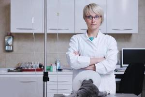 Female veterinarian view photo