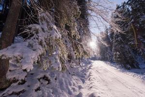 vista de la carretera de invierno foto